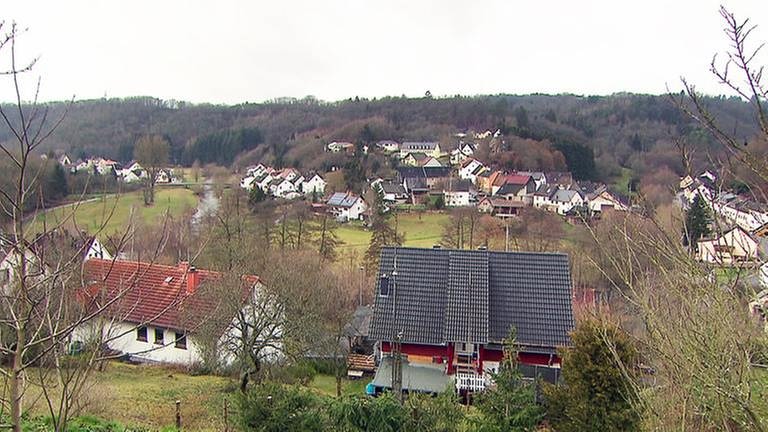Ortsansicht von Kronweiler (Foto: SWR, SWR -)