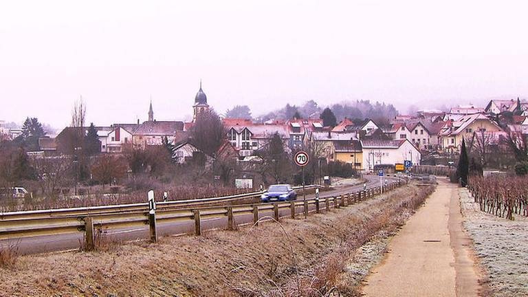 Ortsansicht von Leistadt (Foto: SWR, SWR -)