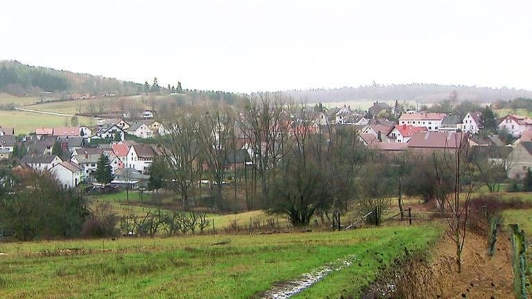 Ortsansicht von Schneckenhausen (Foto: SWR, SWR -)