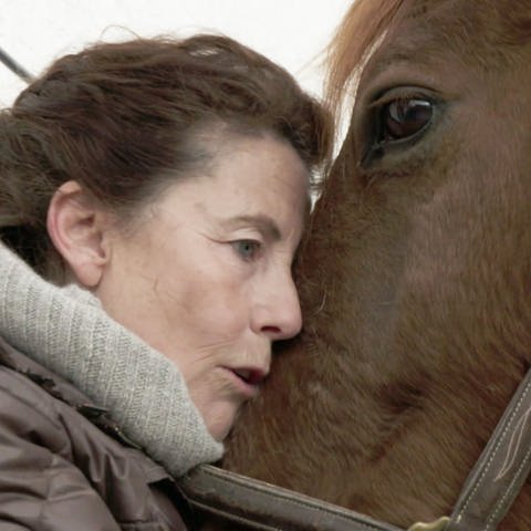 Katrin Machemer - Pferde sind ihr Leben (Foto: SWR, SWR)