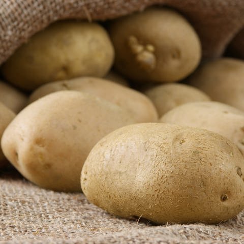 Die Kartoffelsorte Annabelle gehört zu den beliebtesten Frühkartoffelsorten. (Foto: Colourbox)