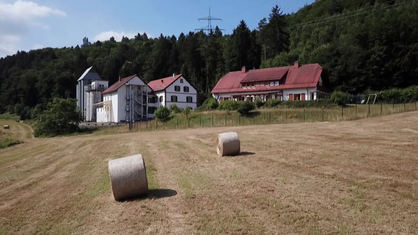 Tausendmühle (Foto: SWR)