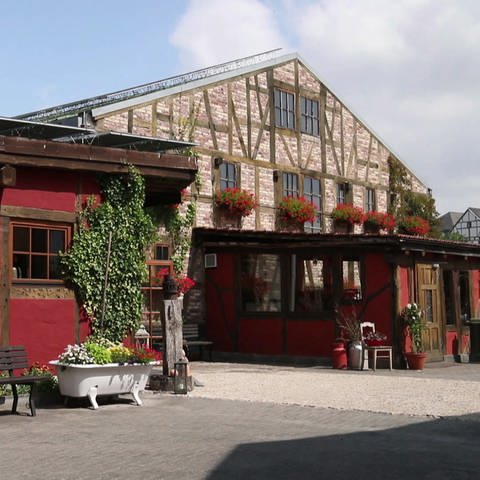 Birgelmühle (Foto: SWR)