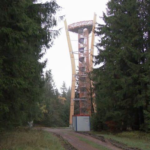 Aussichtsturm am Idarkopf (Foto: SWR)
