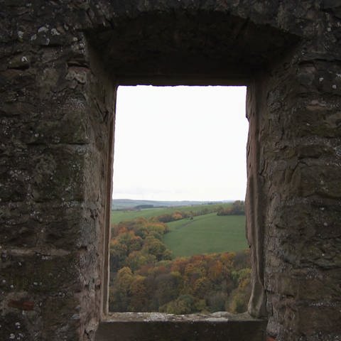 Fenster der Burg Lichtenberg (Foto: SWR, SWR)