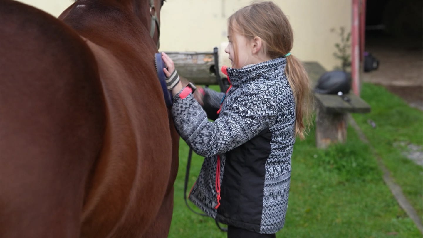 Mädchen striegelt ein Pferd (Foto: SWR, SWR)