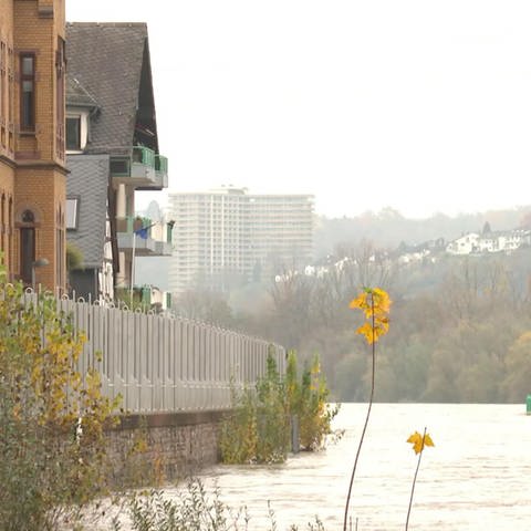 Hochwasserschutz bei Koblenz (Foto: SWR)