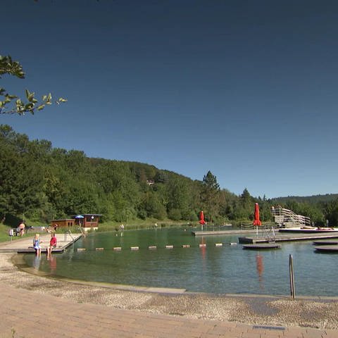 Naturschwimmbad Bingen (Foto: SWR)