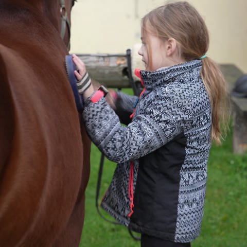 Mädchen striegelt ein Pferd (Foto: SWR, SWR)