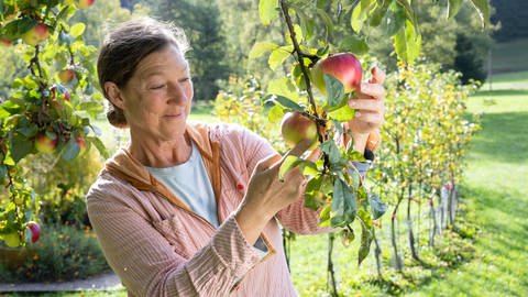Wendy LebLanc begutachtet ihre Äpfel. (Foto: SWR)