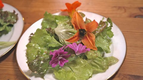 Salat querbeet, Taglilienblüten gefüllt mit Brennnesselsamenpesto, Schafgarbenbutter und eingelegtem Kräuter-Weichkäse (Foto: WDR)