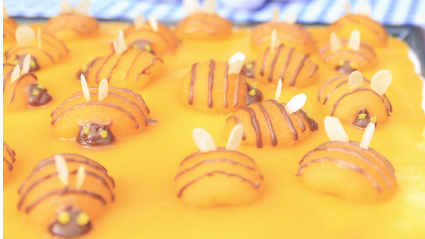 Hummelkuchen von Anja Frey (Foto: SWR)