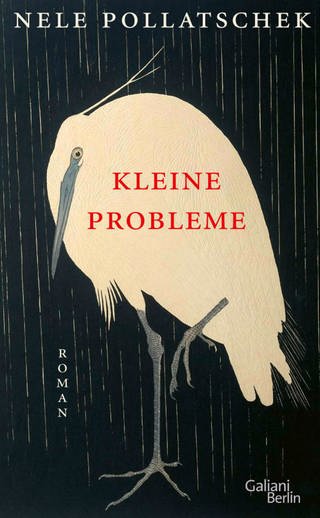 Cover des Buches "Kleine Probleme" von Nele Pollatschek (Foto: SWR)