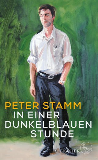Buchcover Peter Stamm: In einer dunkelblauen Stunde