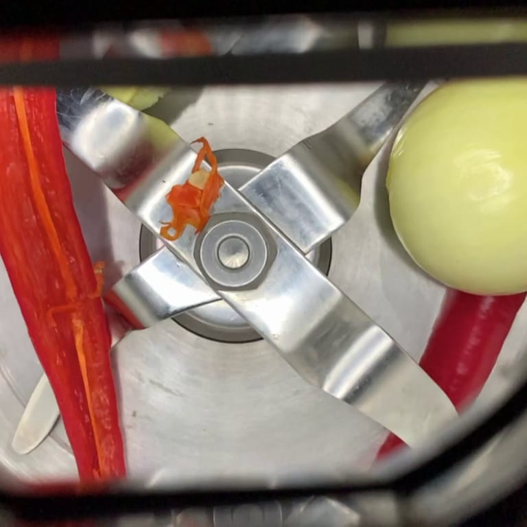 Zwiebel, Paprika und Peperoni liegen in einem Mixbehälter (Foto: SWR)
