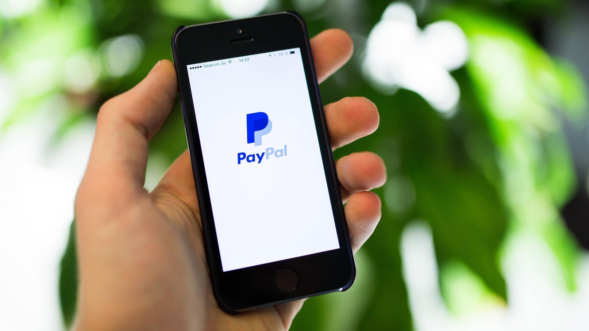 Paypal mit geld account fake PayPal und