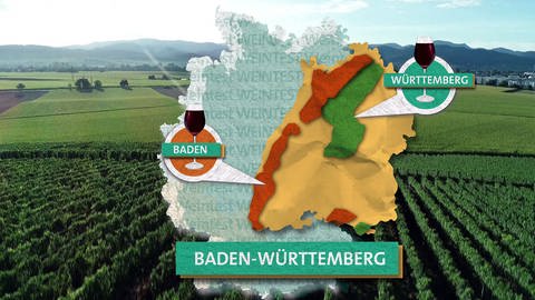 Die großen Weinregionen in Baden und Württemberg - Rotwein gibt es überall. (Foto: SWR, SWR Marktcheck)