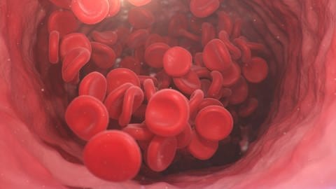 Animiertes Blutgerinnsel. Rote Blutplättchen stauen sich an. (Foto: Colourbox, COLOURBOX44114095)