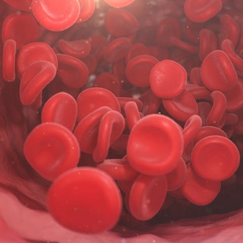 Animiertes Blutgerinnsel. Rote Blutplättchen stauen sich an. (Foto: Colourbox, COLOURBOX44114095)