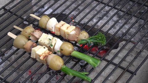 Drei vegetarische Spieße liegen auf einem glühenden Grill. (Foto: SWR)