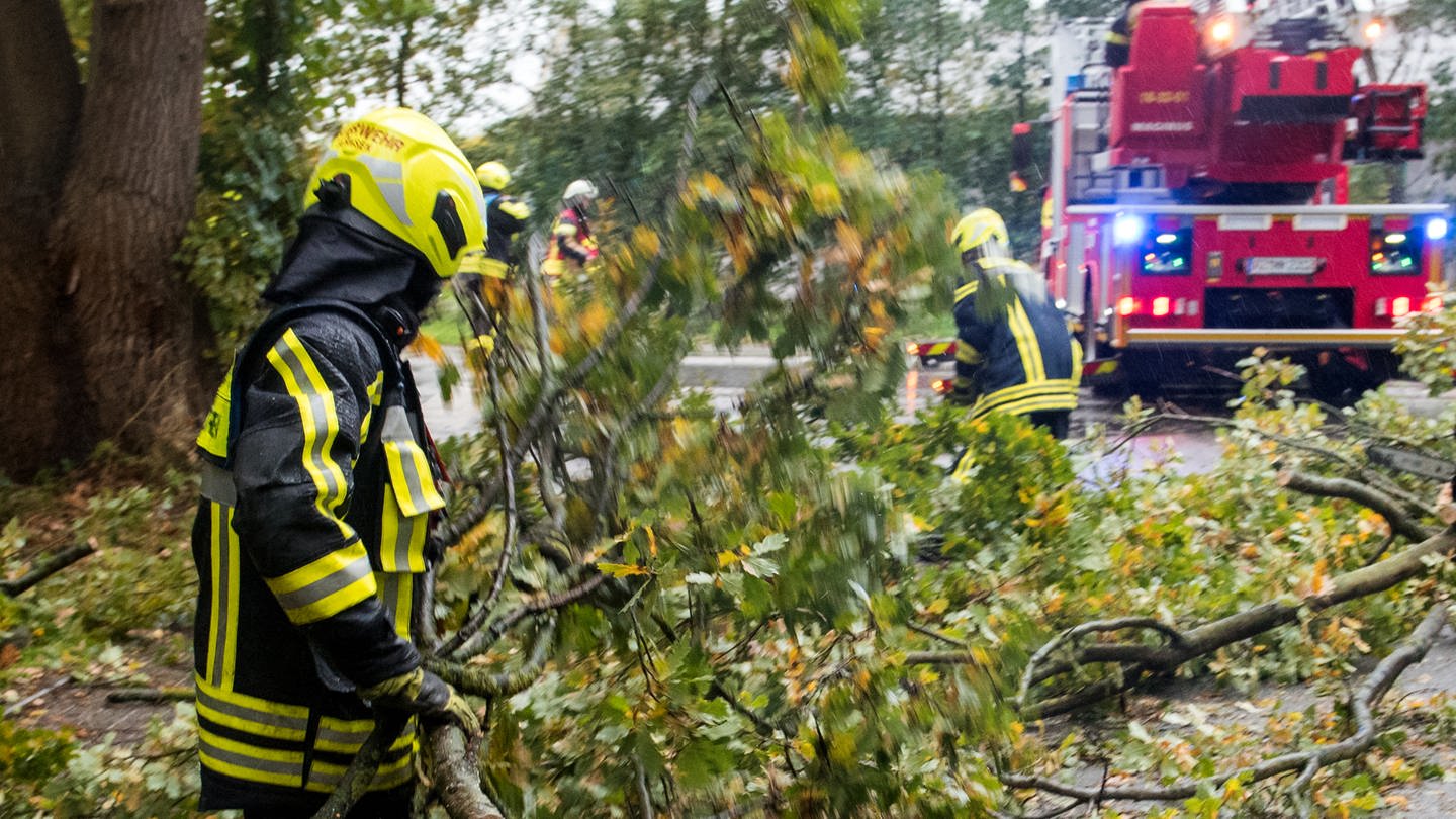 Ein Feuerwehrmann räumt Teile eines Baums von der Fahrbahn. Mit Sturmtief 
