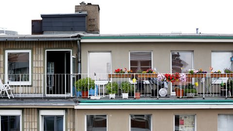 Bunte Blumen blühen vor grauer Fassade auf einem Balkon. (Foto: dpa Bildfunk, picture alliance / dpa | Rolf Vennenbernd)