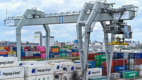 Ein Kran verlädt Container im Handelshafen des Rhein-Neckar-Hafens.  (Photo: dpa Bildfunk, Picture Alliance)