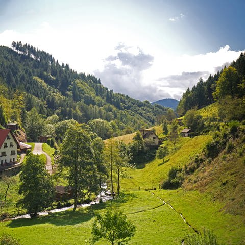 Eine Schwarzwaldlandschaft mit Bergen und Häusern (Foto: Colourbox)