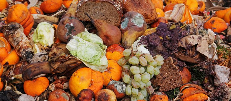 Alte Lebensmittel liegen in Müll (Foto: Colourbox)