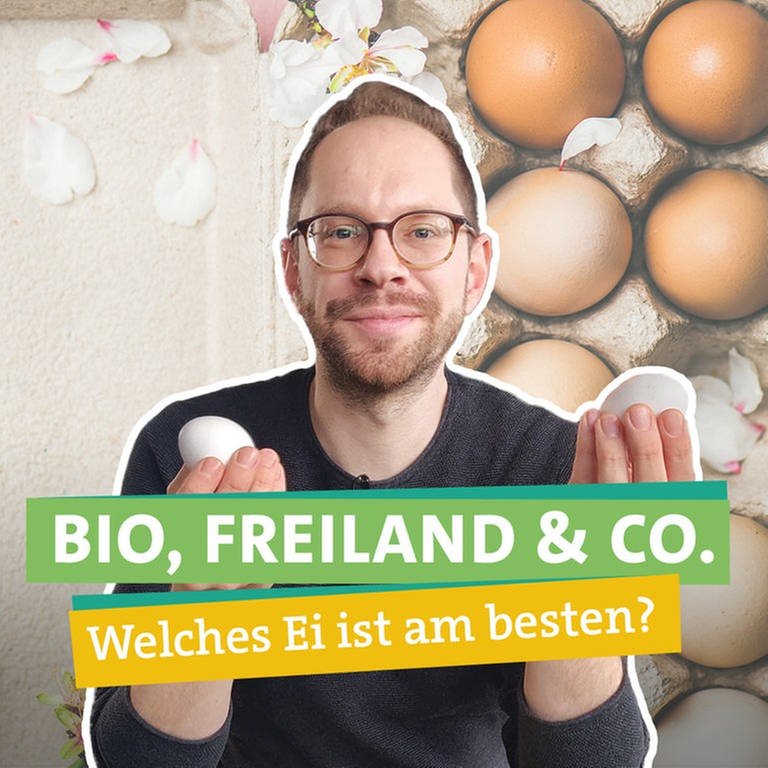 Ökochecker Tobi hält zwei unterschiedliche Eier in der Hand. Er fragt sich, welche Eier aus Umwelt- und Tierwohlsicht die beste Wahl sind. (Foto: SWR)