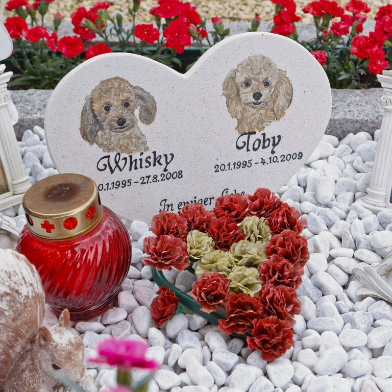 Grab für Hunde mit Kerze und Herz aus Blumen. Tierbestattung: Dürfen tote Tiere im Garten begraben werden?  (Foto: dpa Bildfunk, Picture Alliance Markus Scholz )