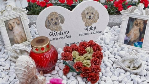 Grab für Hunde mit Kerze und Herz aus Blumen. Tierbestattung: Dürfen tote Tiere im Garten begraben werden?  (Foto: dpa Bildfunk, Picture Alliance Markus Scholz )