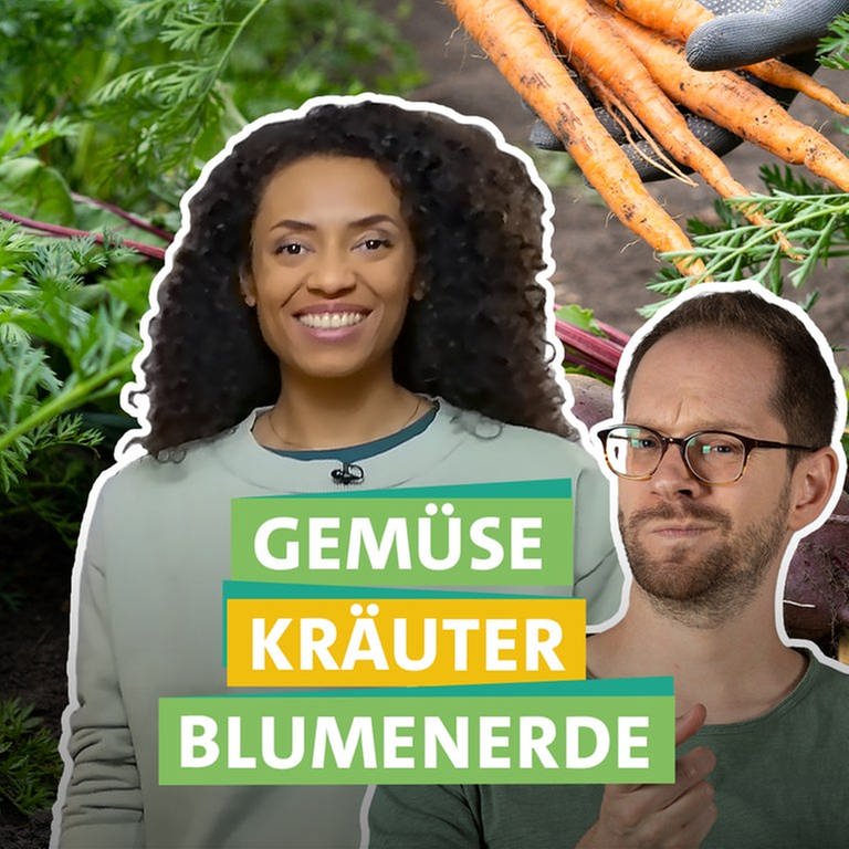Ökochecker Anne Chebu und Tobias Koch finden heraus wie man Gemüse und Kräuter ökologisch anbaut (Foto: SWR)