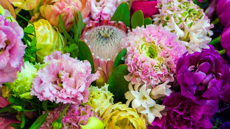 Ein Blumenstrauß aus vielen bunten Blumen. Nachhaltige Blumen.  (Foto: Colourbox)