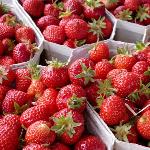 Erdbeeren in Schalen (Foto: Colourbox, 14176298)