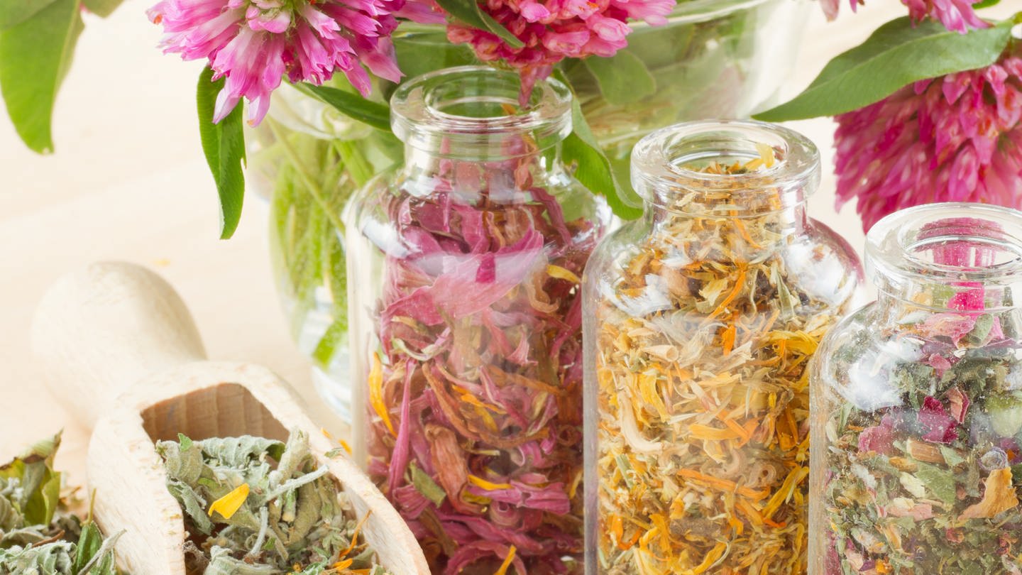 Verschiedene Kräuter (Foto: Colourbox, Getrocknete Blumen in mehreren Gläsern. Getrocknete Blumen kann man manchmal sogar in einem Tee kochen. Hier können sie ihre wahre Heilwirkung entwickeln.)