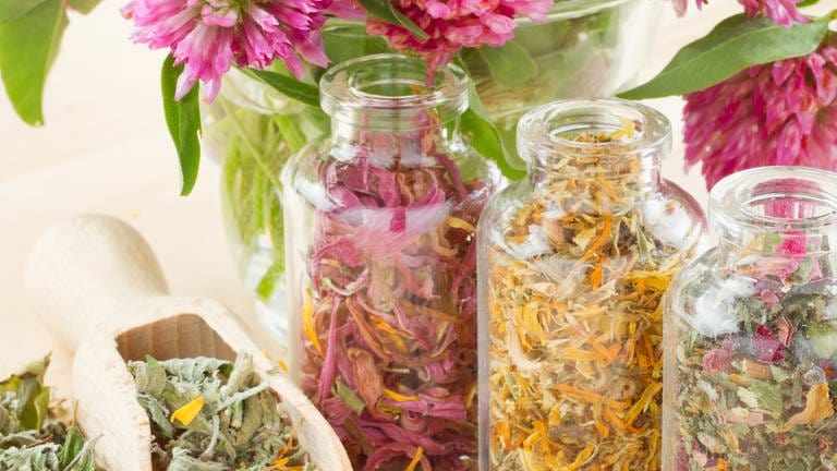 Verschiedene Kräuter (Foto: Colourbox, Getrocknete Blumen in mehreren Gläsern. Getrocknete Blumen kann man manchmal sogar in einem Tee kochen. Hier können sie ihre wahre Heilwirkung entwickeln. )