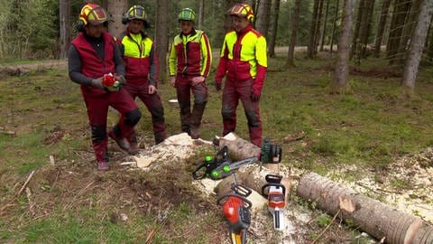 Vier Mitglieder der Freiwilligen Feuerwehr in Furtwangen mit Akkumotorsägen (Foto: SWR)