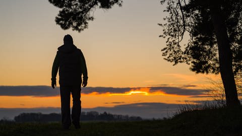 Ein Mann geht im letzten Tageslicht an einem Waldrand spazieren.  (Foto: dpa Bildfunk, picture alliance/dpa/dpa-Zentralbild | Patrick Pleul)