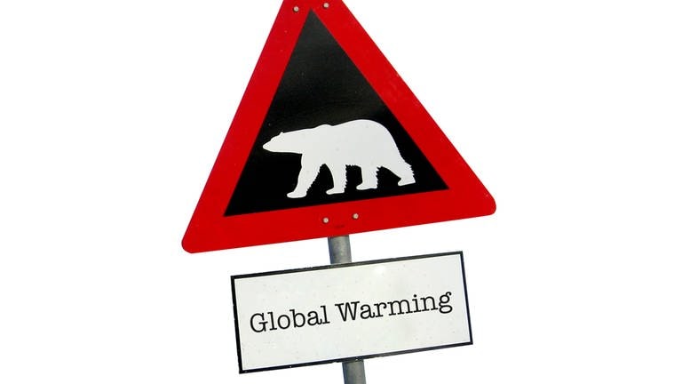 Der Klimawandel bedroht den Lebensraum der Eisbären. (Foto: Colourbox)