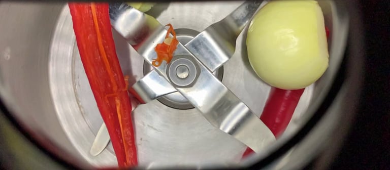 Zwiebel, Paprika und Peperoni liegen in einem Mixbehälter (Foto: SWR)