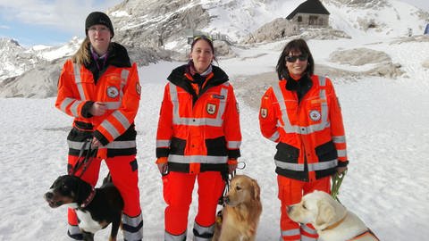 Drei Frauen von der Hundestaffel der Zugspitze stehen in orangenen Jacken mit Spürhunden vor einem Berg. (Foto: SWR)