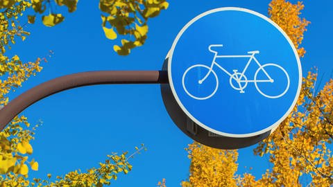 Blaues Fahrradweg-Schild mit Blättern im Hintergrund.  (Foto: Colourbox)