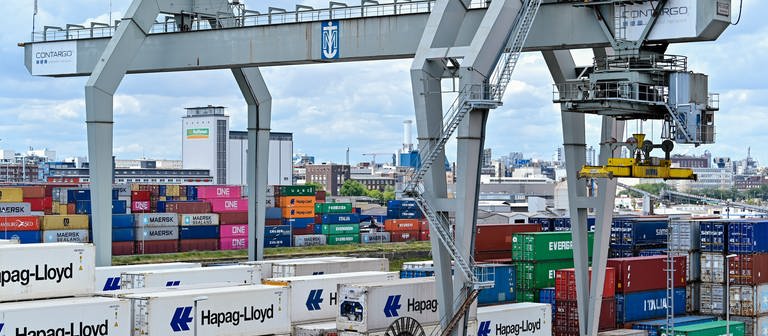 Ein Kran verlädt Container im Handelshafen des Rhein-Neckar-Hafens. (Foto: dpa Bildfunk, Picture Alliance)
