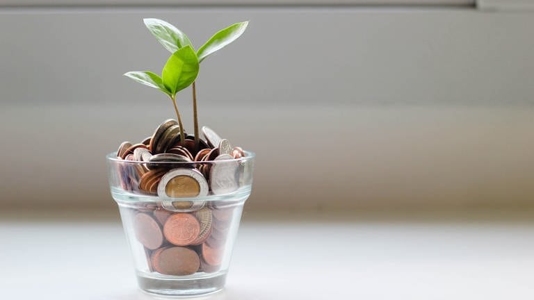 Ein mit Kleingeld gefülltes Glas in dem eine kleine Pflanze (Setzling) rausragt. (Foto: Unsplash/Micheile.com)