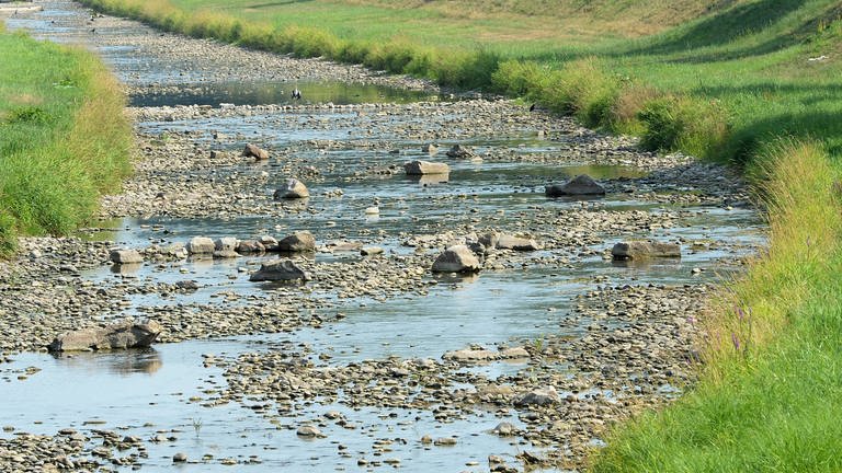 Trockene Flüsse als Folge des Klimawandels: Im Sommer führt die Dreisam oft nur wenig Wasser. 
