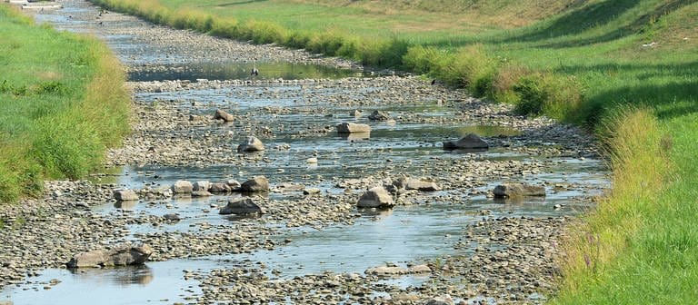 Trockene Flüsse als Folge des Klimawandels: Im Sommer führt die Dreisam oft nur wenig Wasser.  (Foto: IMAGO, IMAGO / Winfried Rothermel)