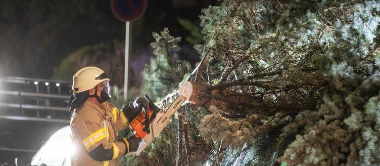 Ein Feuerwehrmann sägt einen Baum ab der auf ein Auto gefallen ist (Foto: dpa Bildfunk, Picture Alliance)