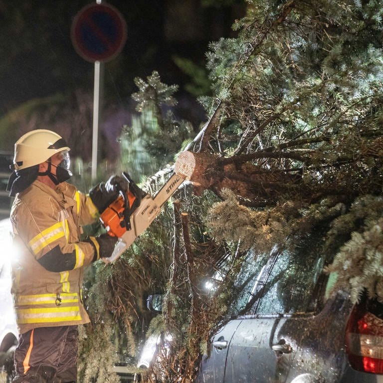 Ein Feuerwehrmann sägt einen Baum ab der auf ein Auto gefallen ist (Foto: dpa Bildfunk, Picture Alliance)