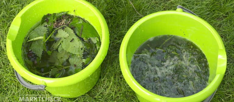Brennnesseln und andere grüne Pflanzenteile schwimmen in zwei grünen Plastikeimern in Wasser. Dünger wie Brennnesseljauche kann man leicht selber machen. (Foto: SWR)